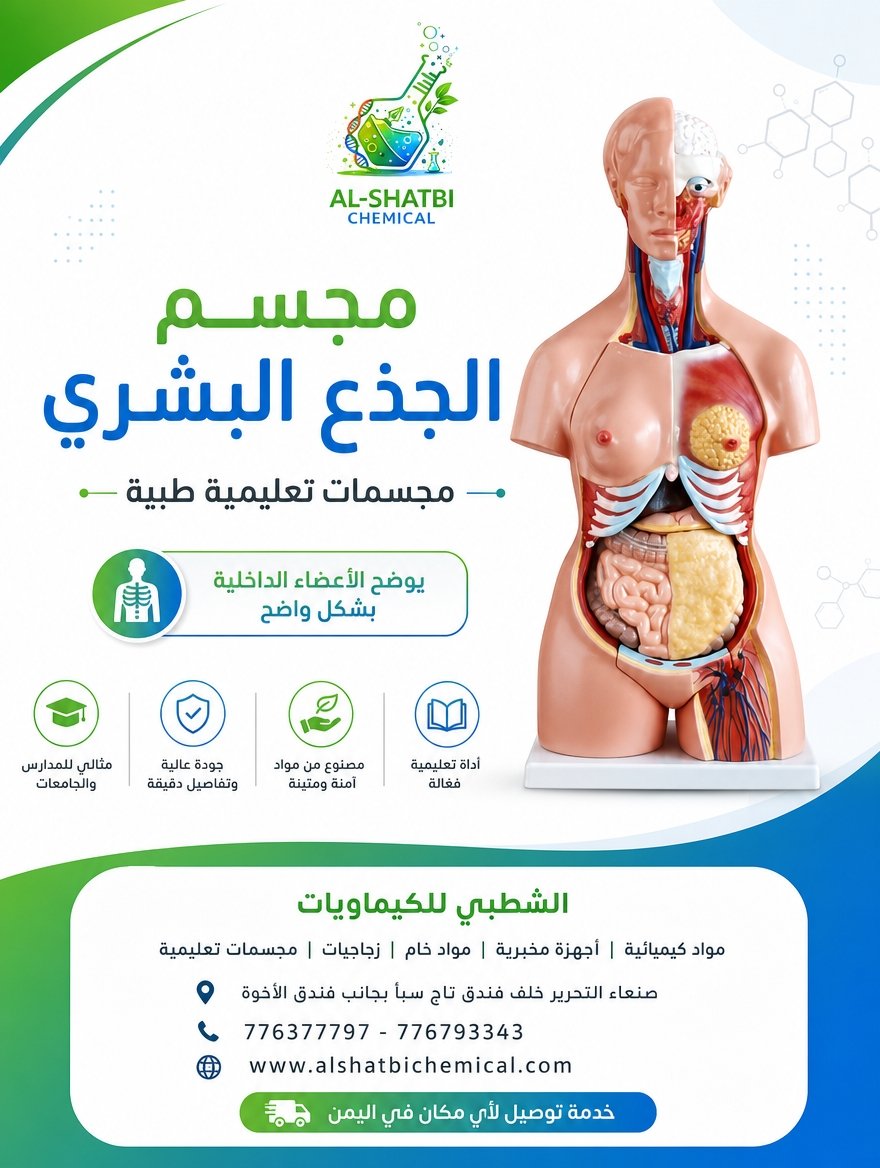 مجسم جذع الإنسان 23قطعة 85cm